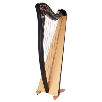 Salvi Gaia Lever Harp 38 Str. EB