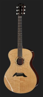 Breedlove CO20BCRe Thomann Special EDT