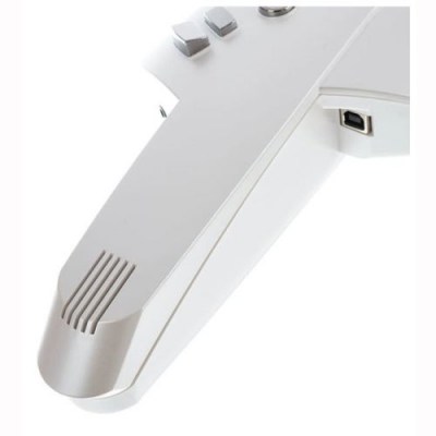 Roland Aerophone AE-10