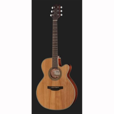 Takamine GN20CE N-2