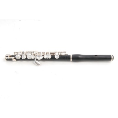 Philipp Hammig 650/2 R Piccolo Flute