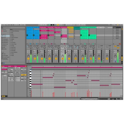 Ableton Live 10 Suite UPG Intro
