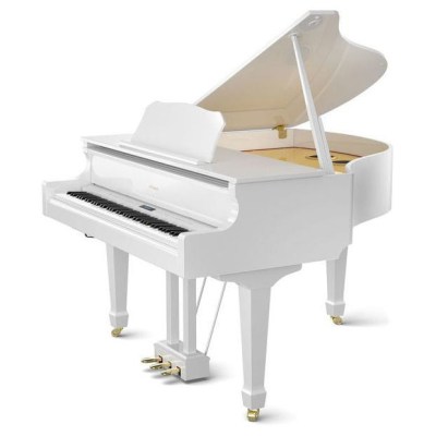 Roland GP-609 PW