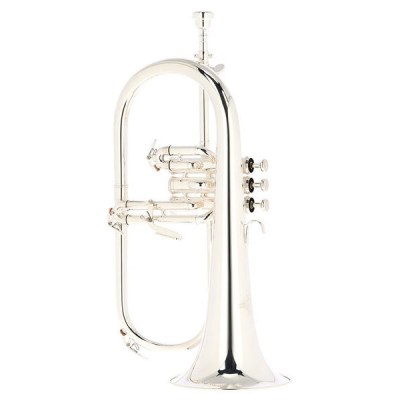 Hamaril  Flugelhorn Set