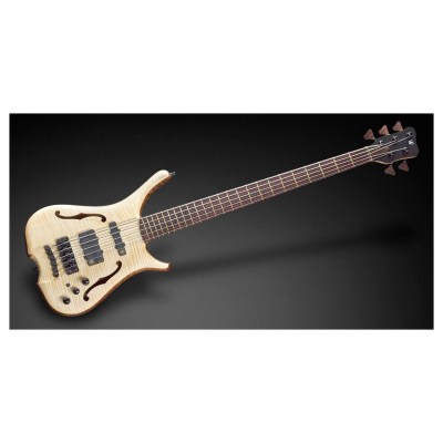 Warwick Masterbuilt Infinity 5 N