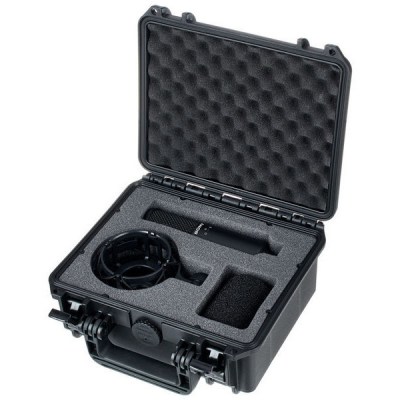 Sony C-100
