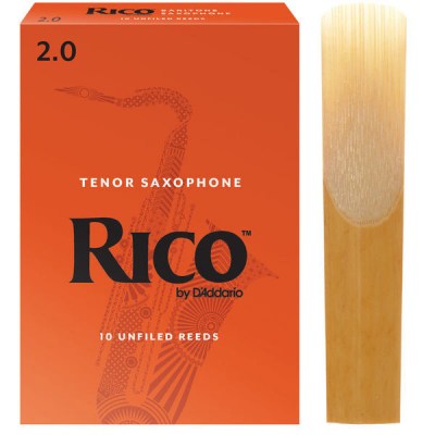 DAddario Woodwinds Rico Baritone Sax 2