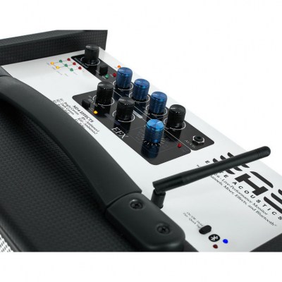 Elite Acoustics M2-6 Acoustic Amplifier