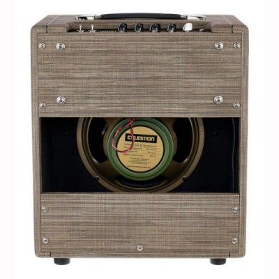 Morgan Amplification PR12 1x12 Driftwood