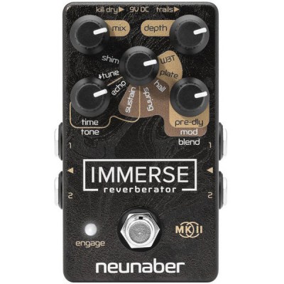 Neunaber Immerse Reverberator Mk II