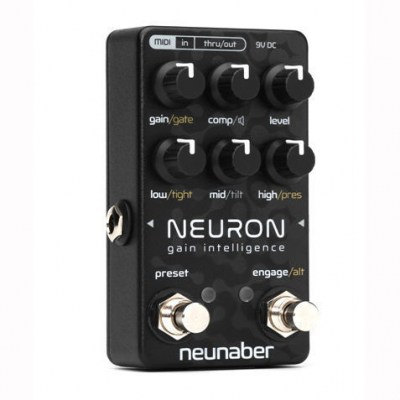 Neunaber Neuron Gain Intelligence