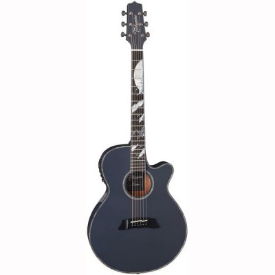 takamine moon