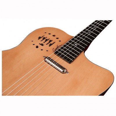 Godin Multiac Gypsy Jazz