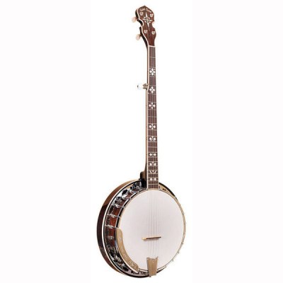 Gold Tone BG-150F Banjo
