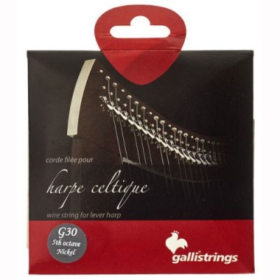 Galli Strings Lever Harp Bass Wire G30