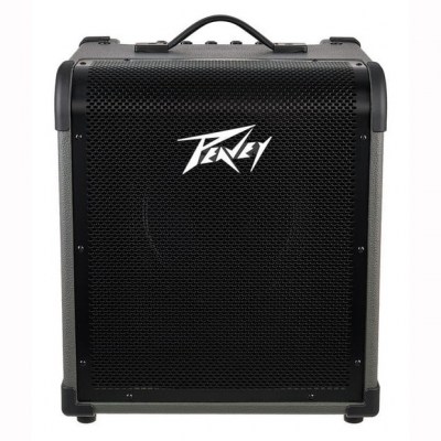 Peavey Max 100