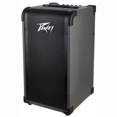 Peavey Max 208