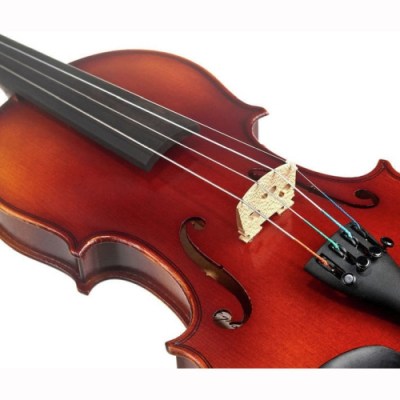 Gewa Allegro VL1 Violin Set 1/2 OC