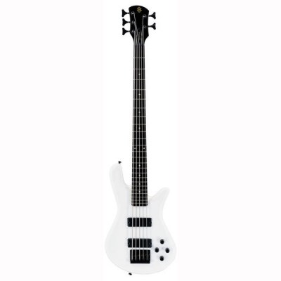 spector performer 5 string bass