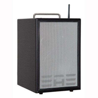 Elite Acoustics D6-8 MKII Acoustic Amplifier