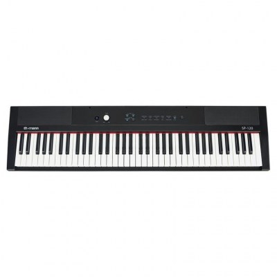 Thomann SP-120
