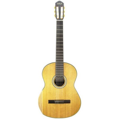 DEA Guitars Serenata Cedar