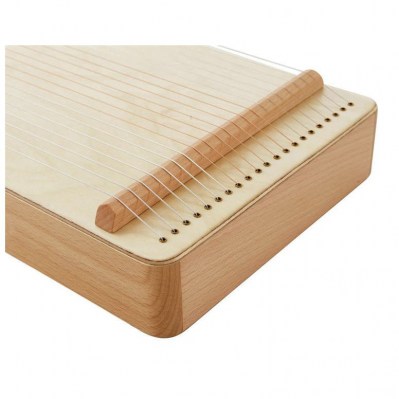 Allton Monochord for Hospital Use