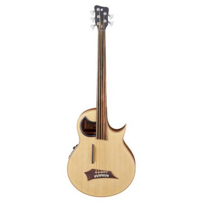 Warwick Alien 5 NT FL