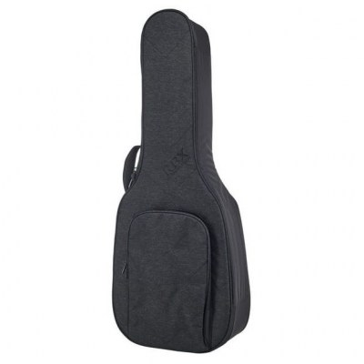 blues reunion gig bag