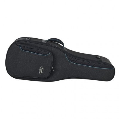 Reunion Blues CV Double El.-Guitar Case