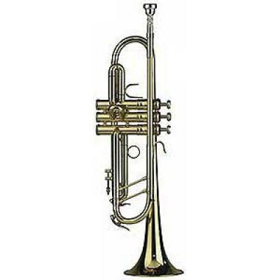 Kuhnl & Hoyer Fantastic Bb-Trumpet 106 11