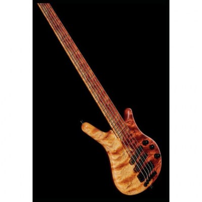 Warwick Thumb NT 5 Custom NT