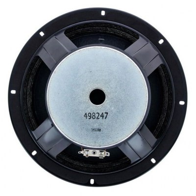 Fender 10" Speaker