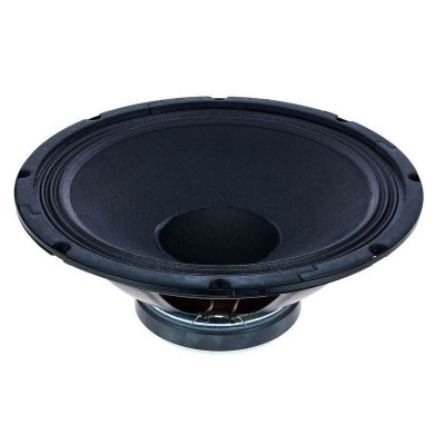 Ampeg 12" Speaker 86-176-08