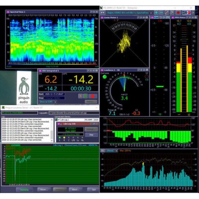 Pinguin PG-AMM-Stereo