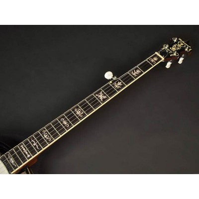Richwood RMG-905 5 String Banjo