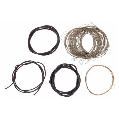 Thomann Nataraj Sarangi Strings Set