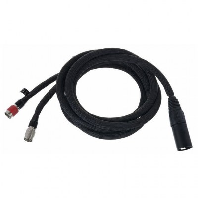 Dan Clark Audio VIVO Cable ETHER/ AEON XLR