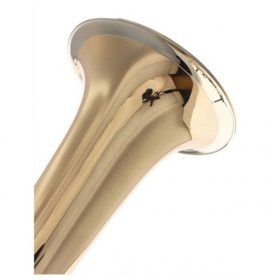 Melton MWMAW24G Tenor Horn Universal