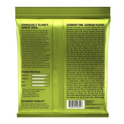 Ernie Ball 2852 Regular Slinky Short