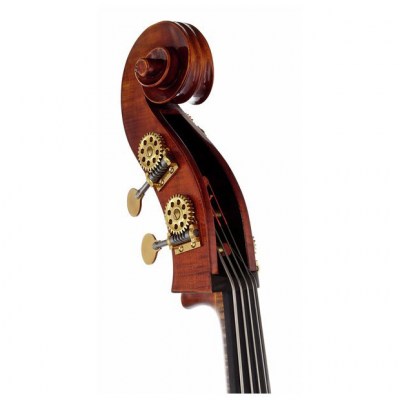 Scala Vilagio Double Bass Gamba 5-Str. IB