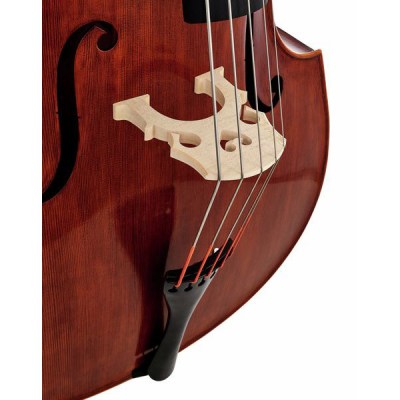 Scala Vilagio Double Bass Gamba 5-Str. IB