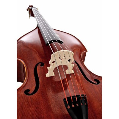 Scala Vilagio Double Bass Gamba 5-Str. IB