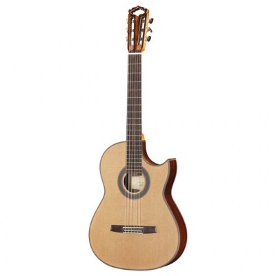 Hanika Fusion PC w/Pickup