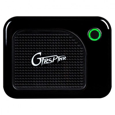 Mooer GTRS PTNR Bluetooth Amp BK