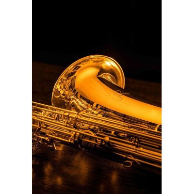 Rampone & Cazzani Performance Line Baritone Sax