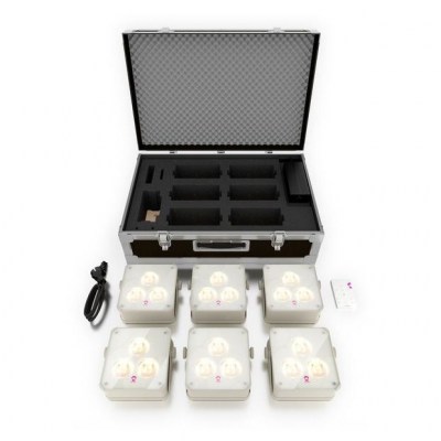 Ape Labs ApeLight maxi V2 (B) TP 6 FC C