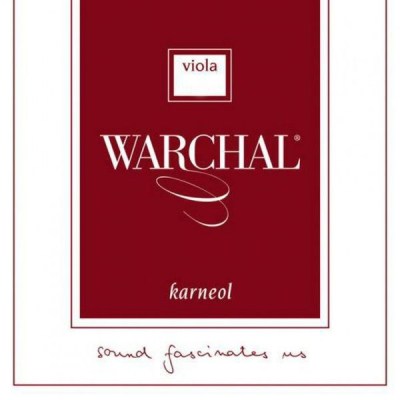 Warchal Karneol Viola 15 - 15 3/4''