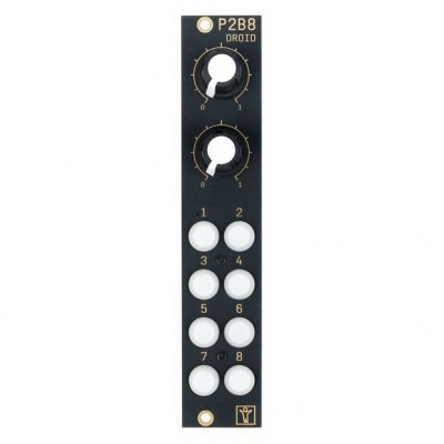 Der Mann mit der Maschine P2B8 Controller