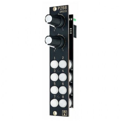 Der Mann mit der Maschine P2B8 Controller Green